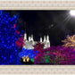 Washington DC Temple Christmas Spirit