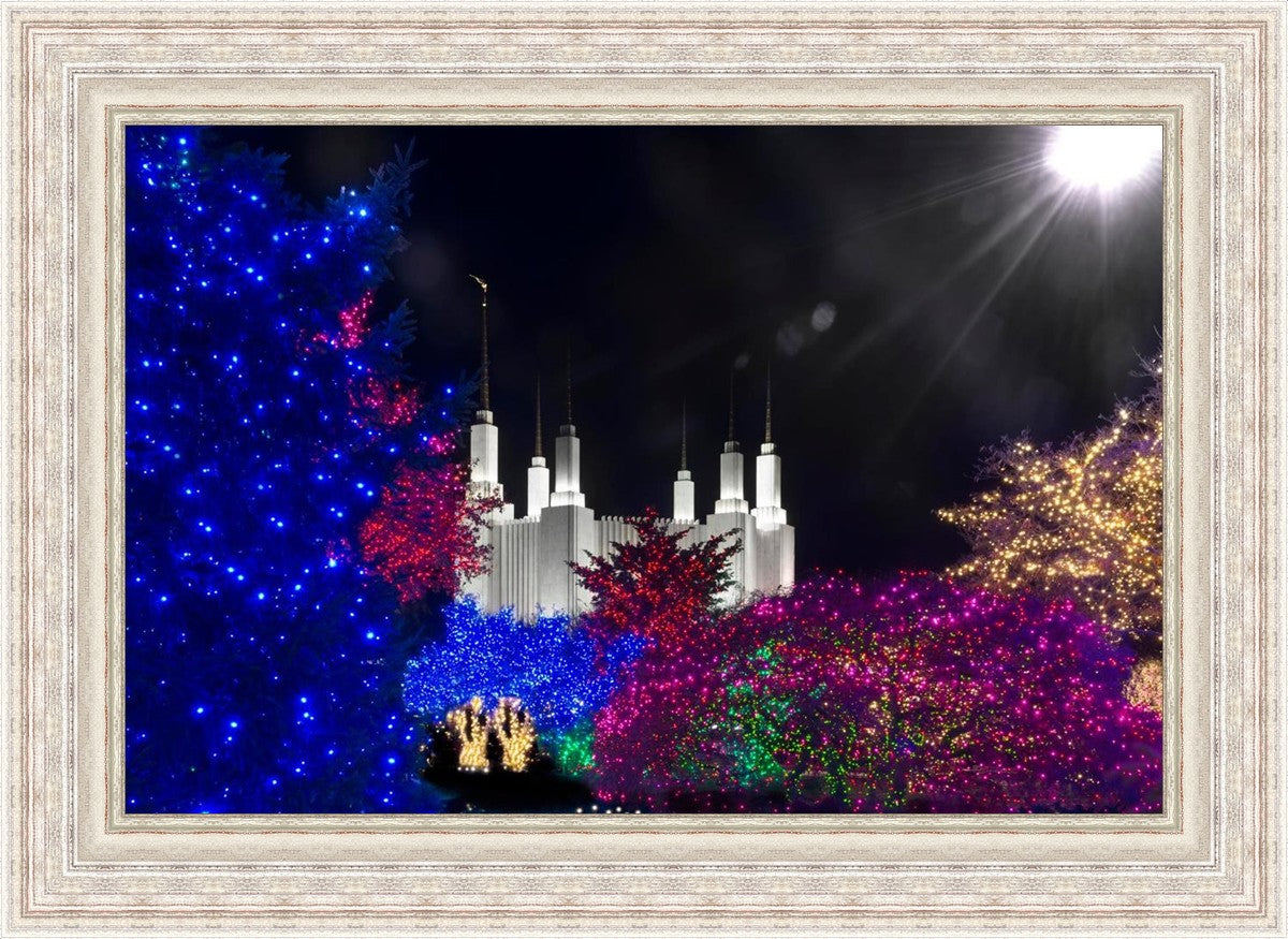 Washington DC Temple Christmas Spirit
