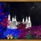 Washington DC Temple Christmas Spirit