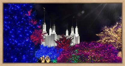 Washington DC Temple Christmas Spirit