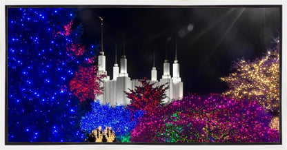 Washington DC Temple Christmas Spirit