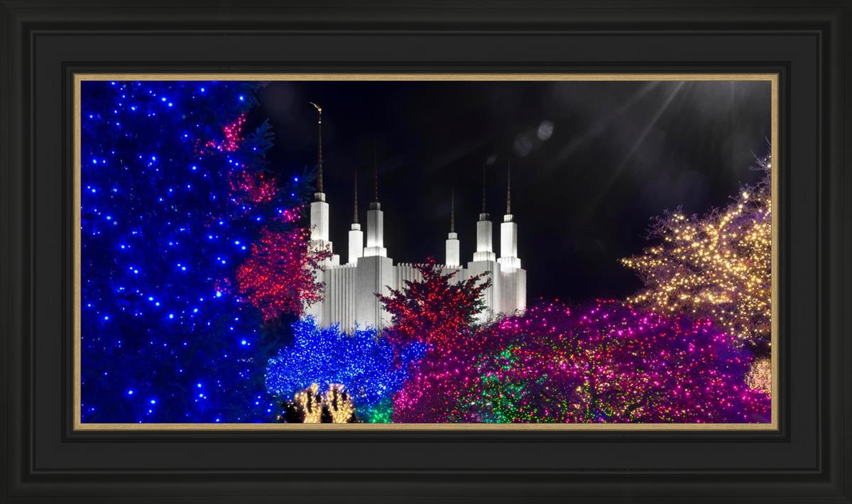 Washington DC Temple Christmas Spirit