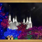 Washington DC Temple Christmas Spirit