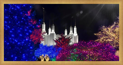 Washington DC Temple Christmas Spirit