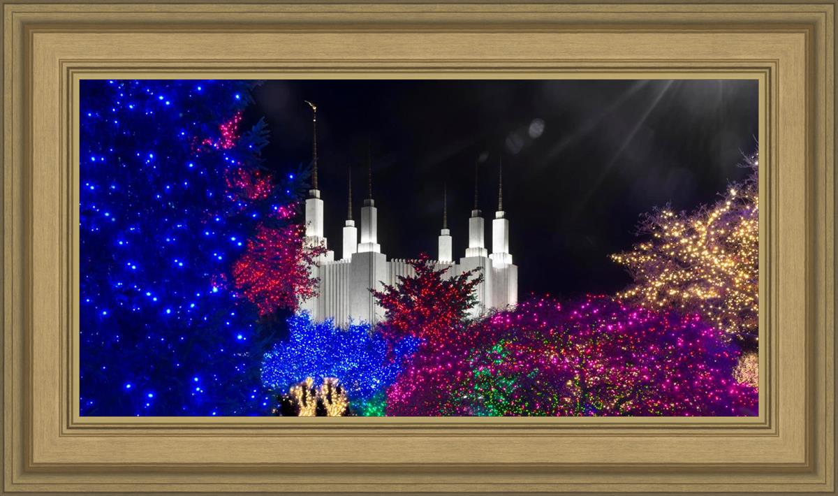 Washington DC Temple Christmas Spirit