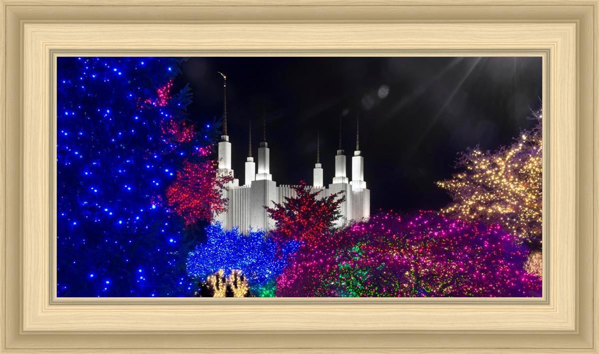 Washington DC Temple Christmas Spirit