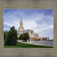 Bountiful Eternal Viewpoint