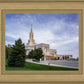 Bountiful Eternal Viewpoint
