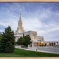 Bountiful Eternal Viewpoint