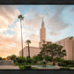 Los Angeles Eternal Gardens