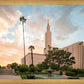 Los Angeles Eternal Gardens