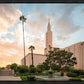 Los Angeles Eternal Gardens