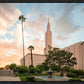 Los Angeles Eternal Gardens