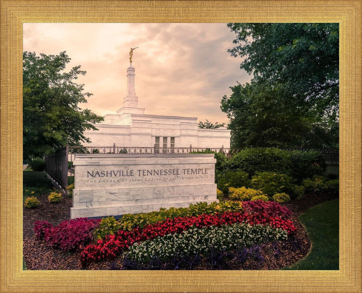 Nashville After The Storm