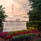 Nashville After The Storm