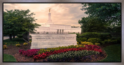 Nashville After The Storm