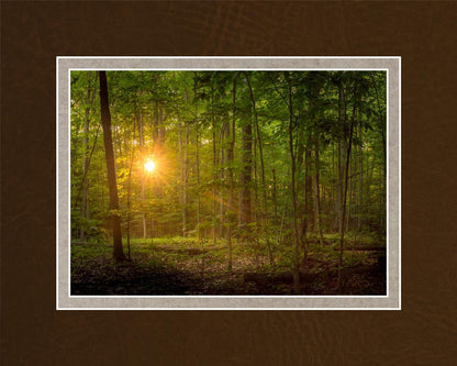 Suddenly A Light Descended