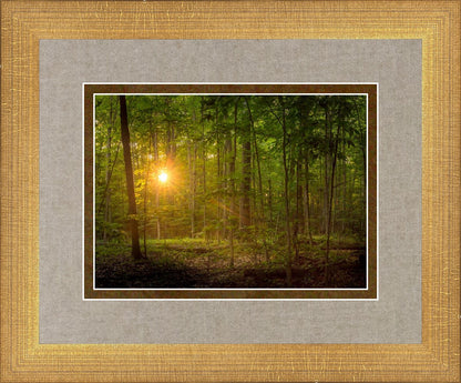 Suddenly A Light Descended