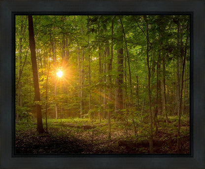 Suddenly A Light Descended