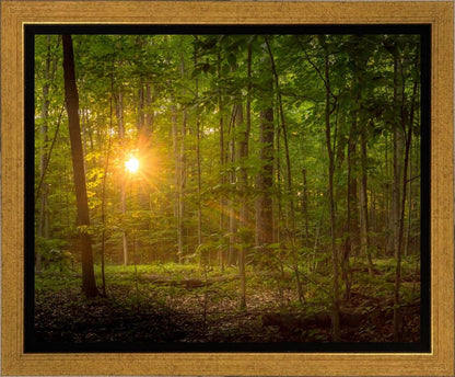 Suddenly A Light Descended