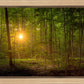 Suddenly A Light Descended
