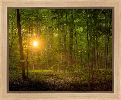 Suddenly A Light Descended