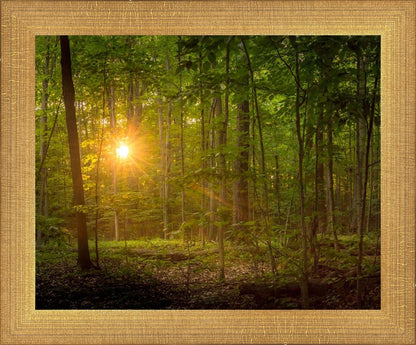 Suddenly A Light Descended