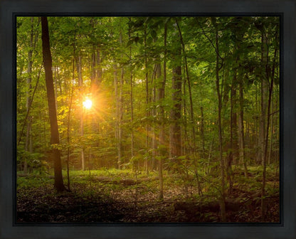 Suddenly A Light Descended