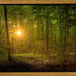 Suddenly A Light Descended