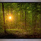 Suddenly A Light Descended
