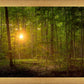 Suddenly A Light Descended
