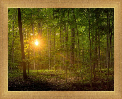 Suddenly A Light Descended