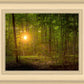 Suddenly A Light Descended