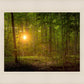 Suddenly A Light Descended