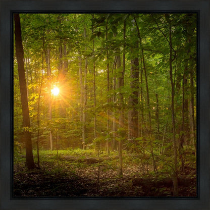 Suddenly A Light Descended