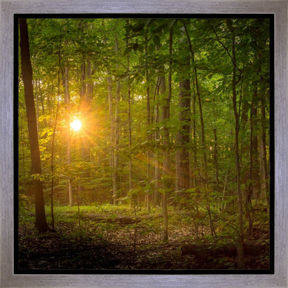 Suddenly A Light Descended