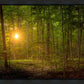 Suddenly A Light Descended