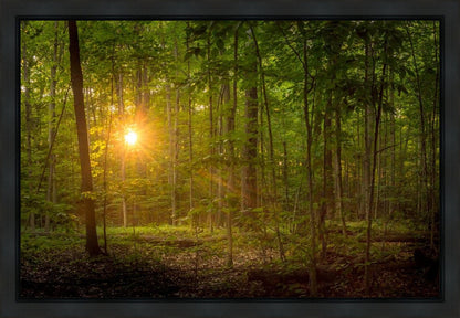 Suddenly A Light Descended