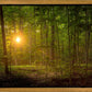 Suddenly A Light Descended