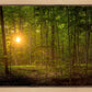 Suddenly A Light Descended