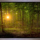 Suddenly A Light Descended