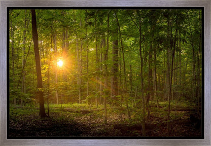 Suddenly A Light Descended