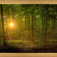 Suddenly A Light Descended