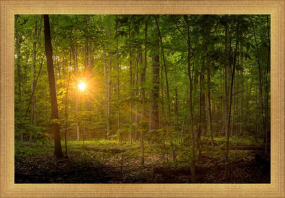 Suddenly A Light Descended