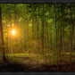 Suddenly A Light Descended