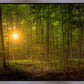Suddenly A Light Descended