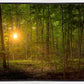 Suddenly A Light Descended