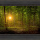 Suddenly A Light Descended