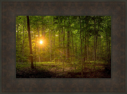 Suddenly A Light Descended