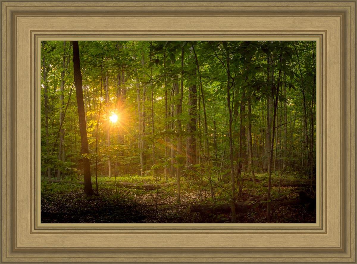 Suddenly A Light Descended